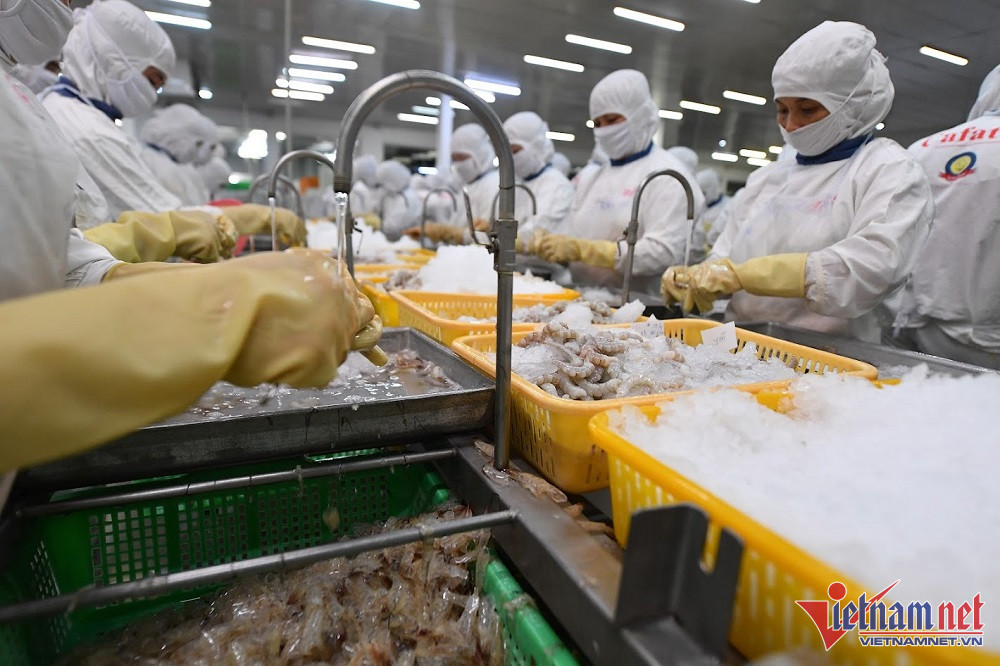  Thứ trưởng Nông nghiệp: Đừng vì vài lỗi nhỏ mà hạ thấp chất lượng tôm Việt Nam
