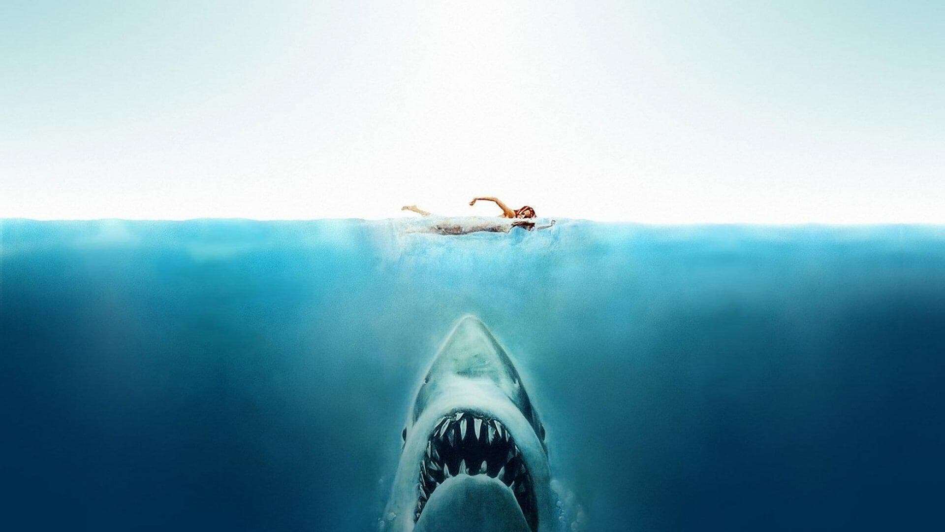  “Jaws” khi kinh dị là nghệ thuật không lời