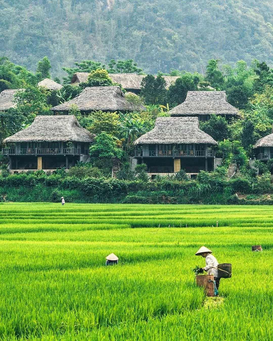 Những nét đẹp tự nhiên và văn hóa đã giúp nơi đây trở thành biểu tượng du lịch mới của Việt Nam.