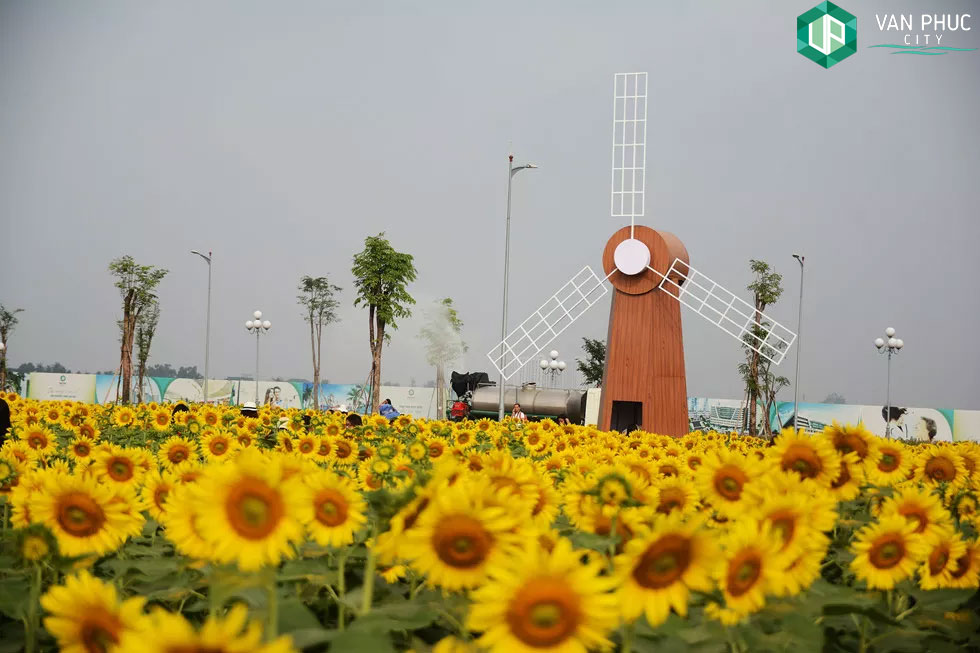  Sunflower Festival 2024 sắc vàng rực rỡ giữa lòng TP.HCM