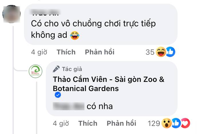 Một trong những điểm nhấn lớn nhất chính là việc du khách được phép vào tận chuồng để chơi cùng capybara. 