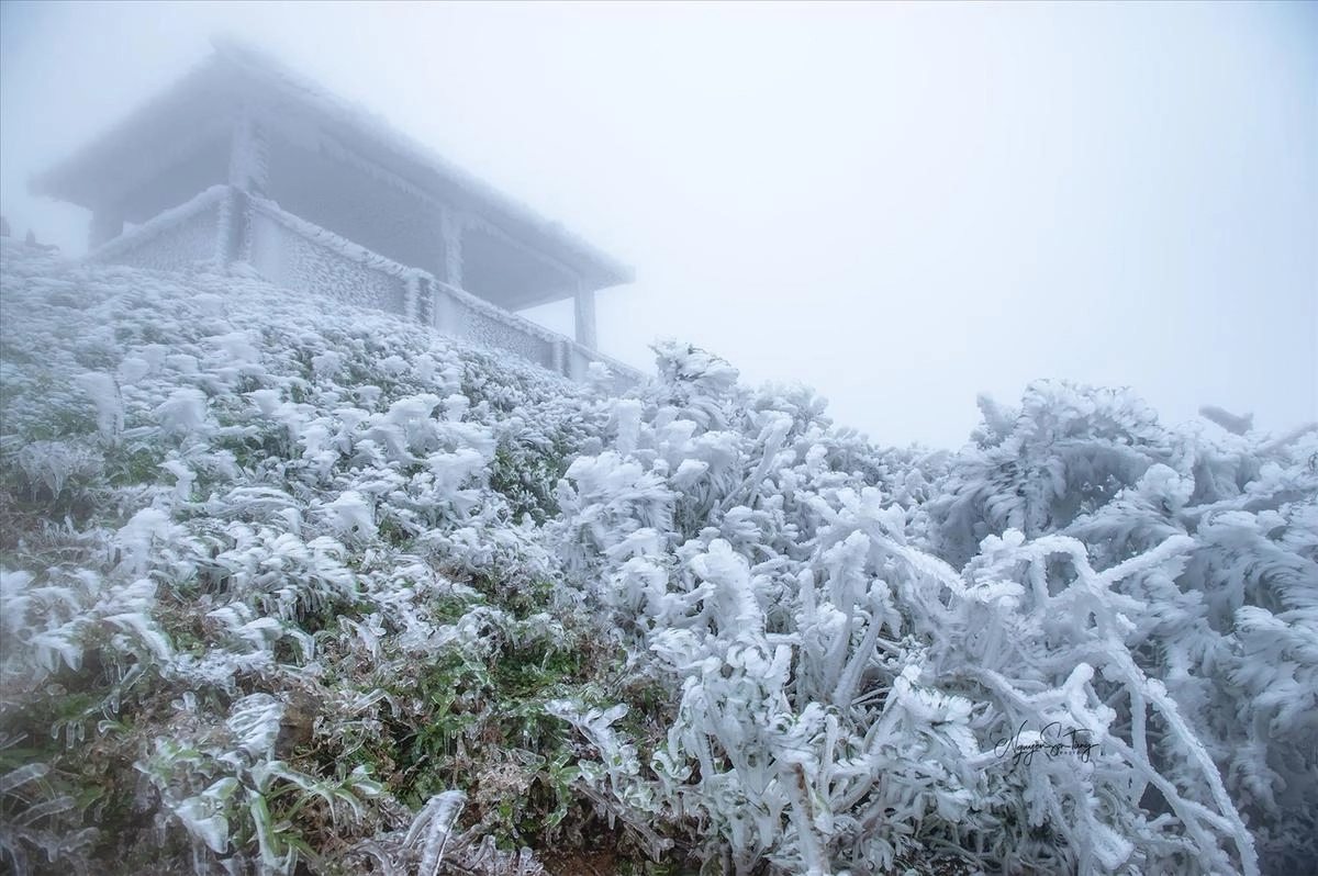  Sáng nay nhiệt độ xuống 1°C tại vùng núi phía Bắc