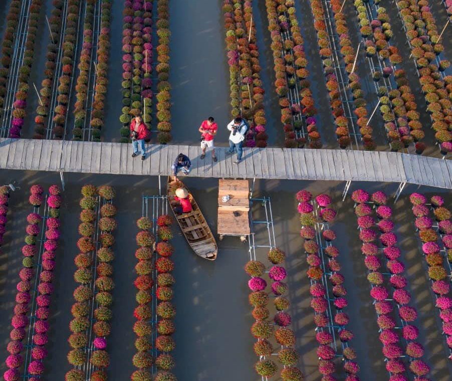 Mỗi dịp Tết đến xuân về, làng hoa Sa Đéc nổi tiếng miền Tây lại nhộn nhịp hơn bao giờ hết.