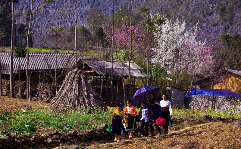 Người H’Mông đã rộn ràng chuẩn bị đón Tết cổ truyền, mang theo nét văn hóa độc đáo không lẫn vào đâu được.