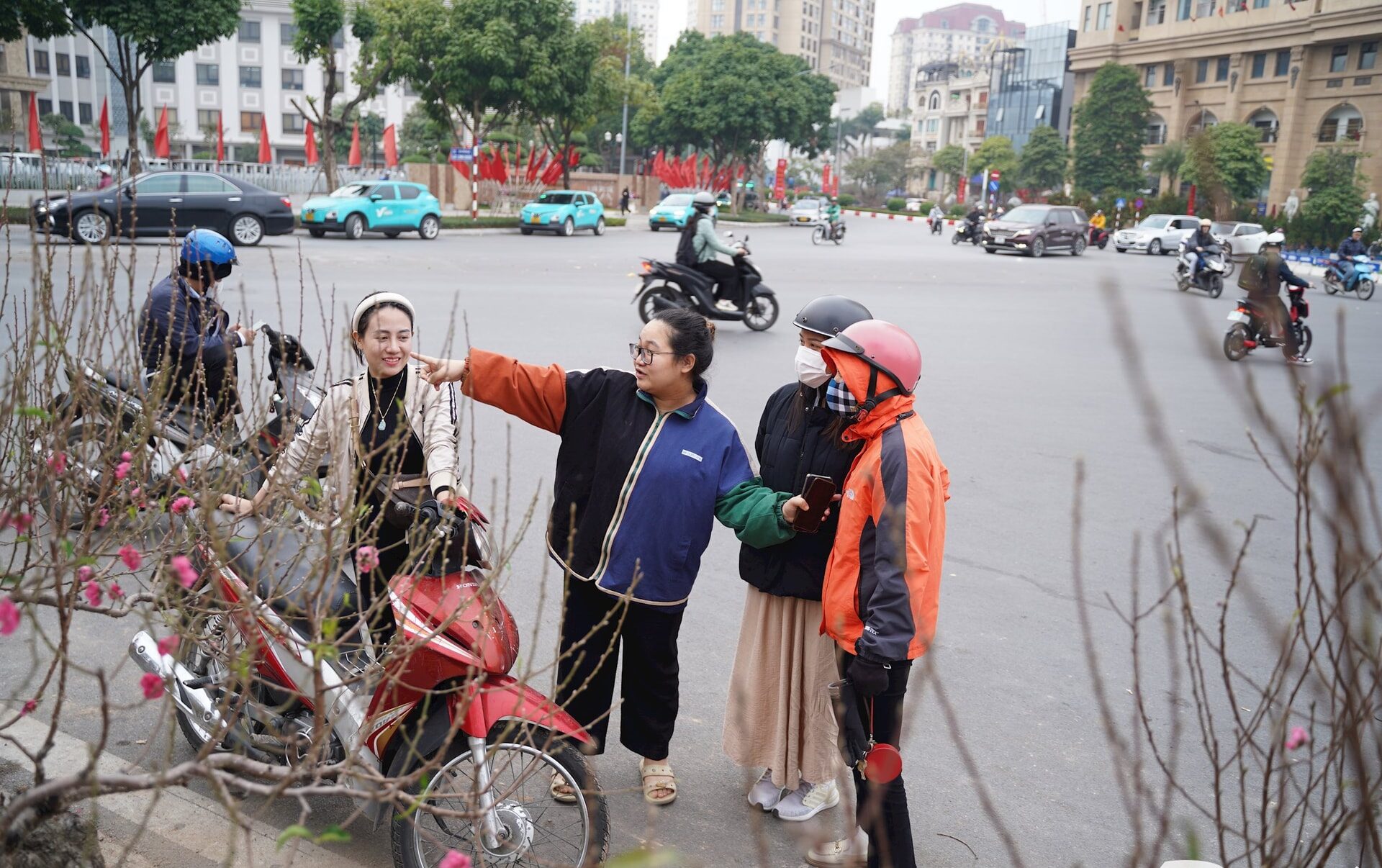  Đây là thời điểm người dân Thủ đô tìm đến các vựa hoa, cây cảnh để chọn cho mình những chậu cây ưng ý nhất trưng bày trong dịp Tết.