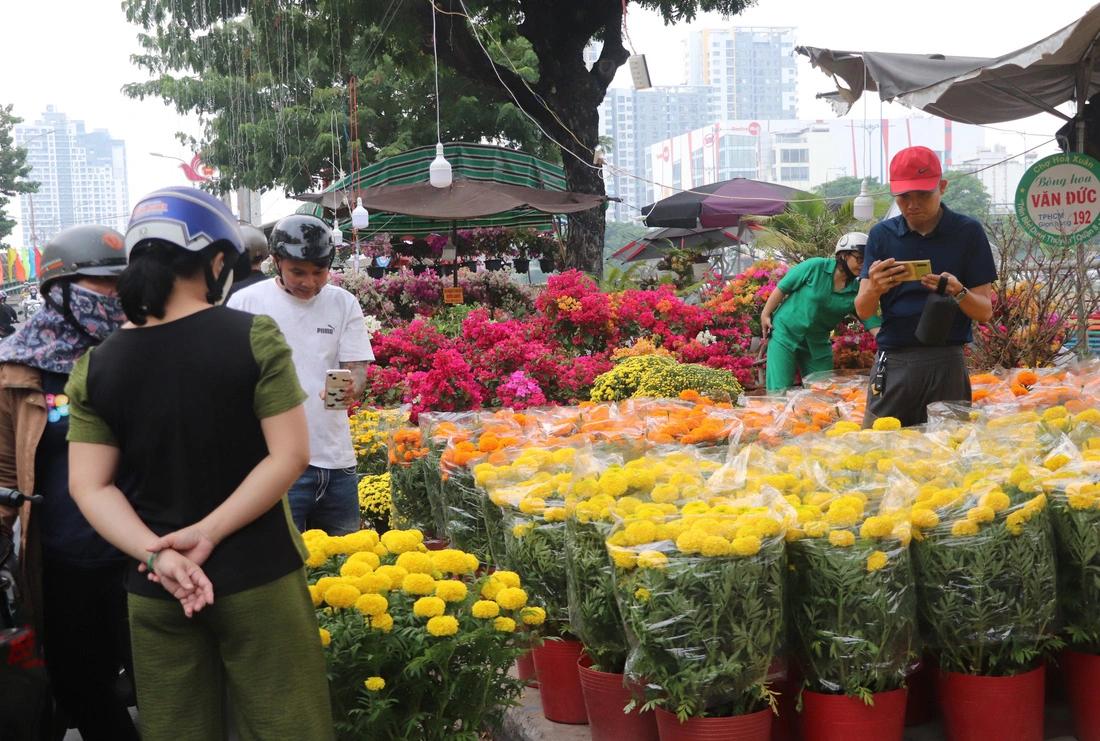  Hoa Tết bến Bình Đông giảm giá sâu, vẫn ít người mua