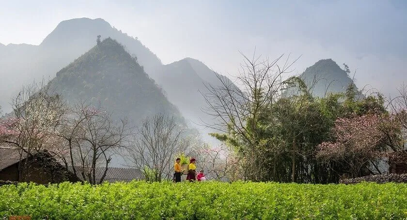 Thời tiết trở nên dễ chịu hơn, cây cối bắt đầu đâm chồi, nảy lộc, mang lại khung cảnh thiên nhiên tươi mới, đầy sức sống.