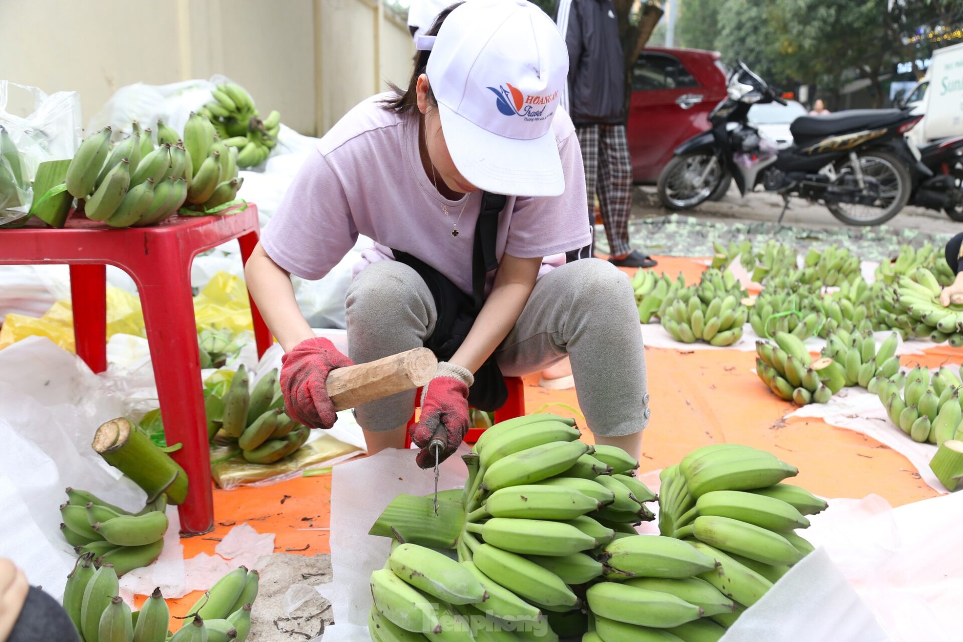  Giá chuối xanh Tết tăng cao, nguyên nhân từ đâu?