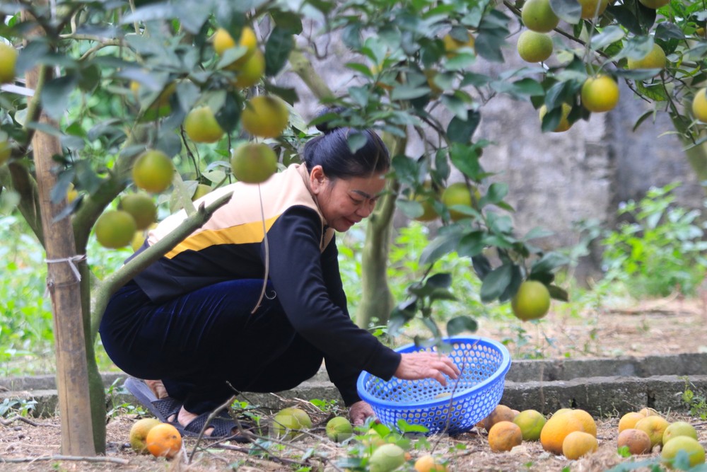 Áp lực tăng cao khi Tết cận kề.