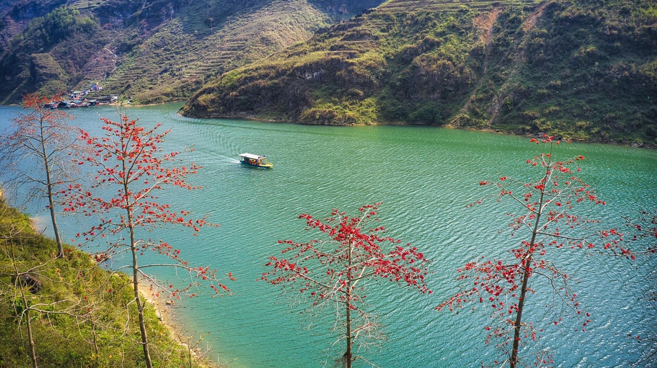 Mùa hoa gạo Hà Giang điểm hẹn không thể bỏ lỡ.