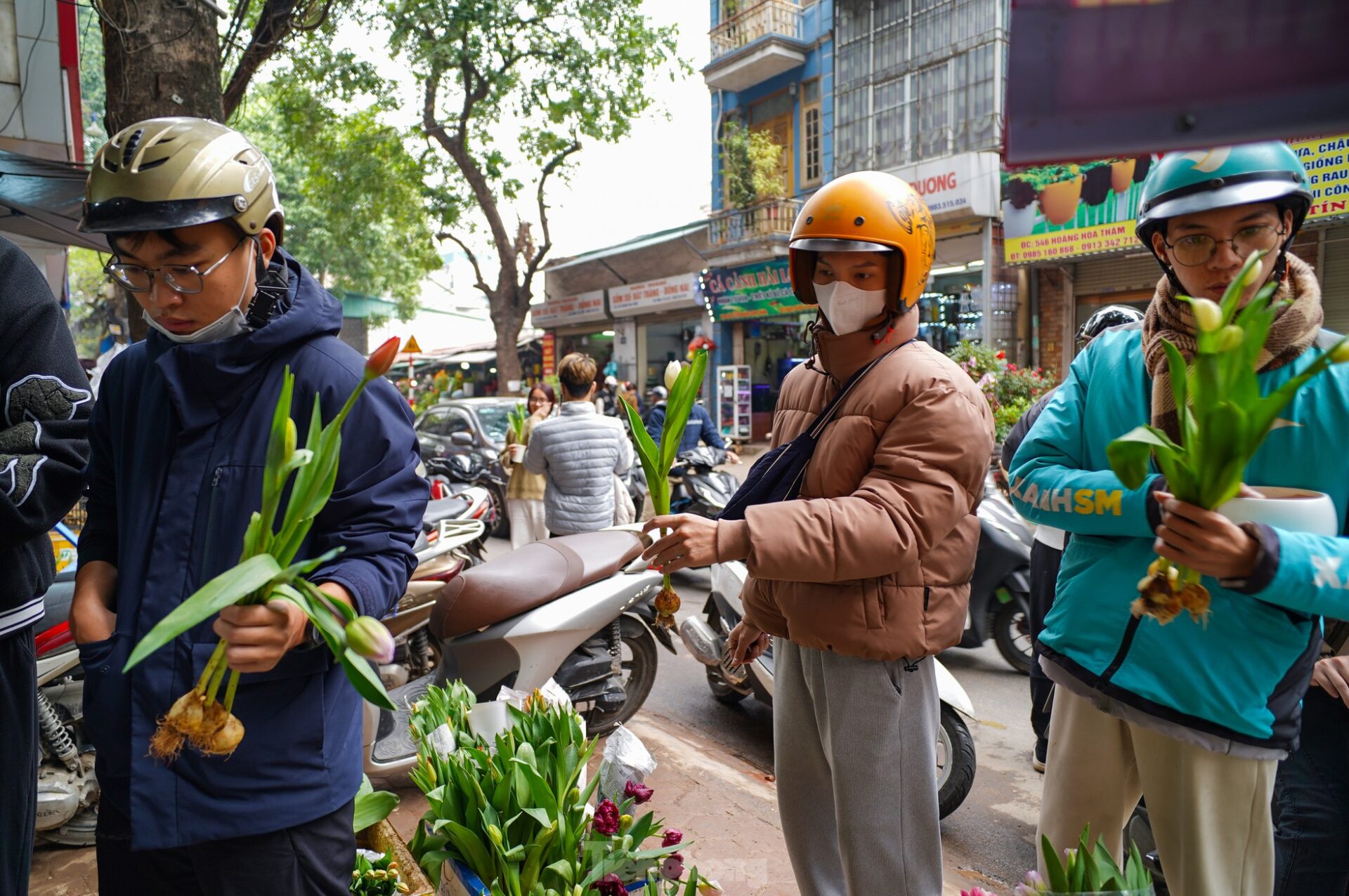 Không đơn thuần là một loài hoa, tulip mang đến cảm giác bình yên mỗi khi ngắm nhìn. 