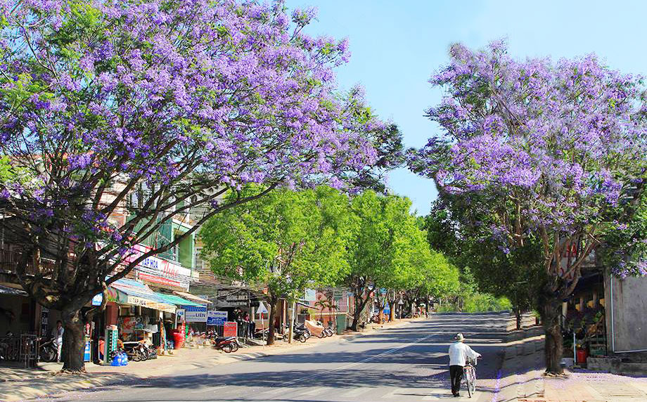 Tạo nên khung cảnh thơ mộng.