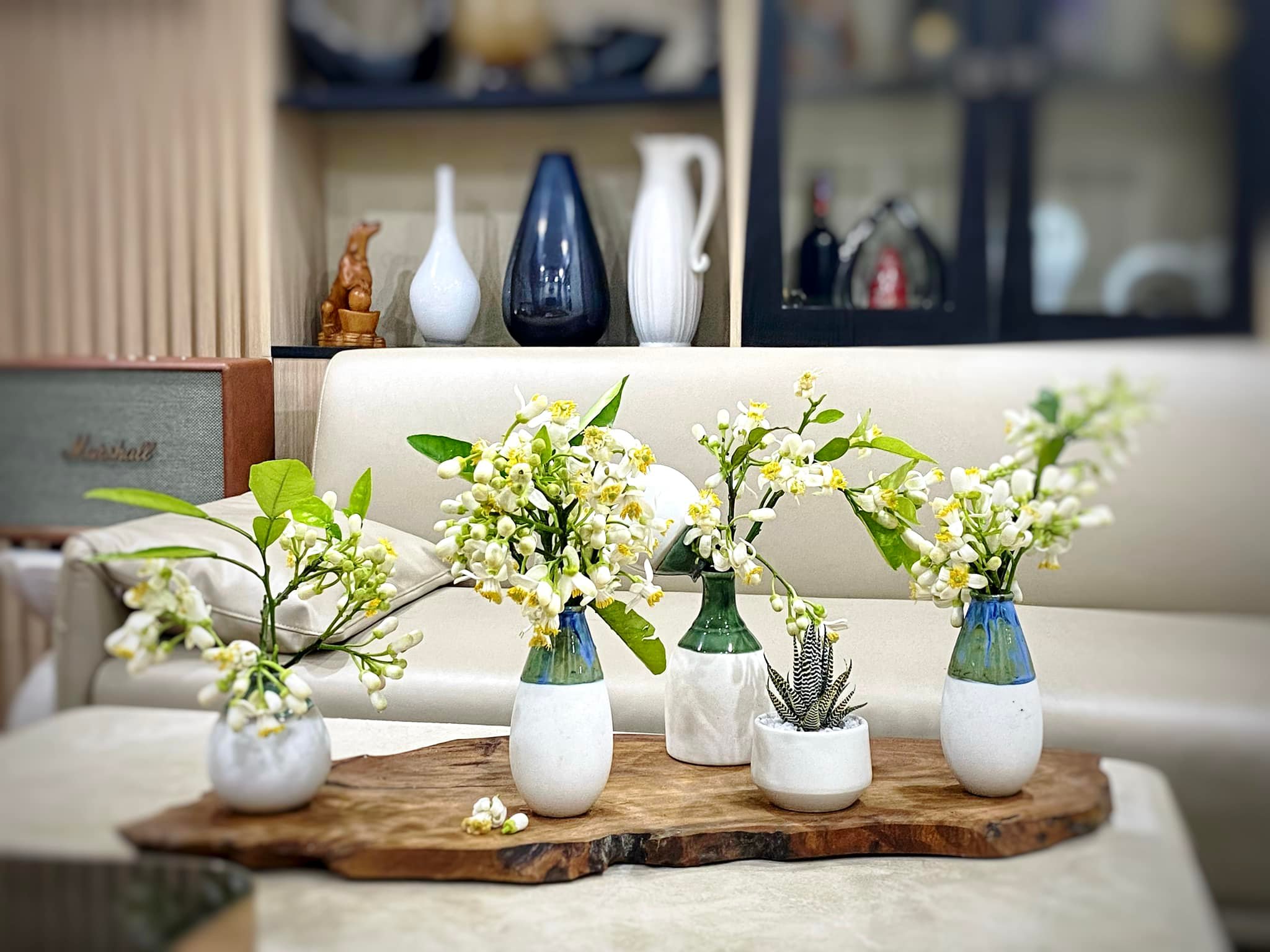 hoa bưởi trở thành loài hoa đặc trưng của tháng Giêng