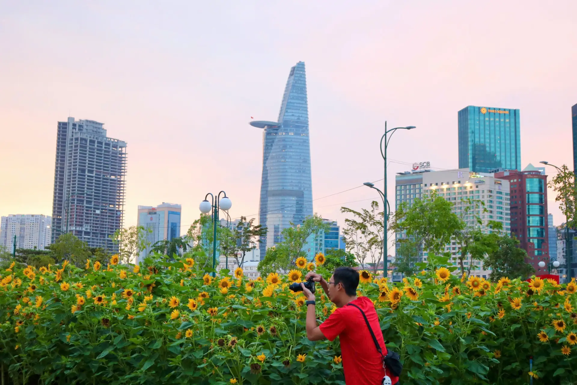 Cánh đồng hoa hướng dương còn là điểm đến lý tưởng của du khách từ các tỉnh lân cận. 