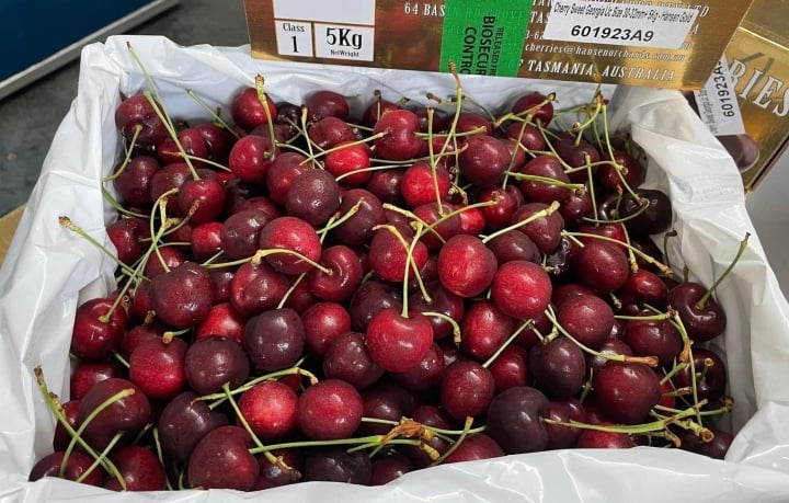  Cherry nhập khẩu giá “rẻ như cho”, dân tình đổ xô mua