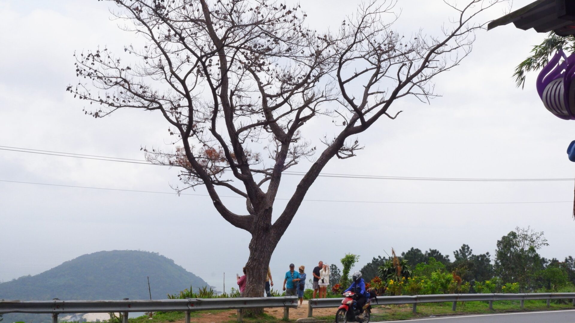  Biểu tượng “sống ảo” trên đèo Hải Vân khô héo nhưng vẫn “gây sốt” du khách