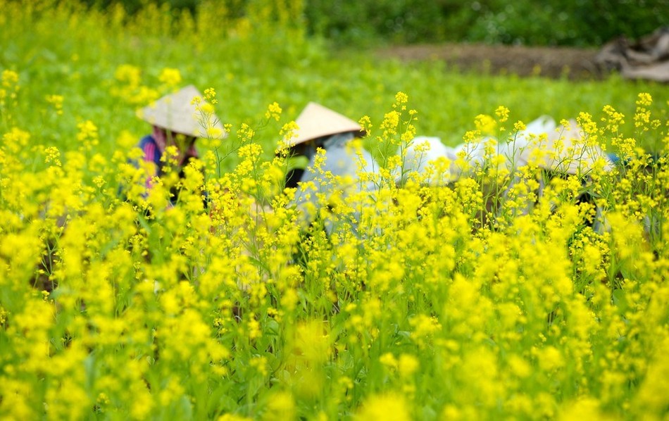  Tháng giêng của những ngày dịu dàng trôi chậm