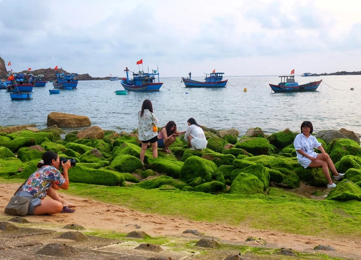 Mang đến một cảnh sắc hiếm có ngay từ những ngày đầu năm mới.