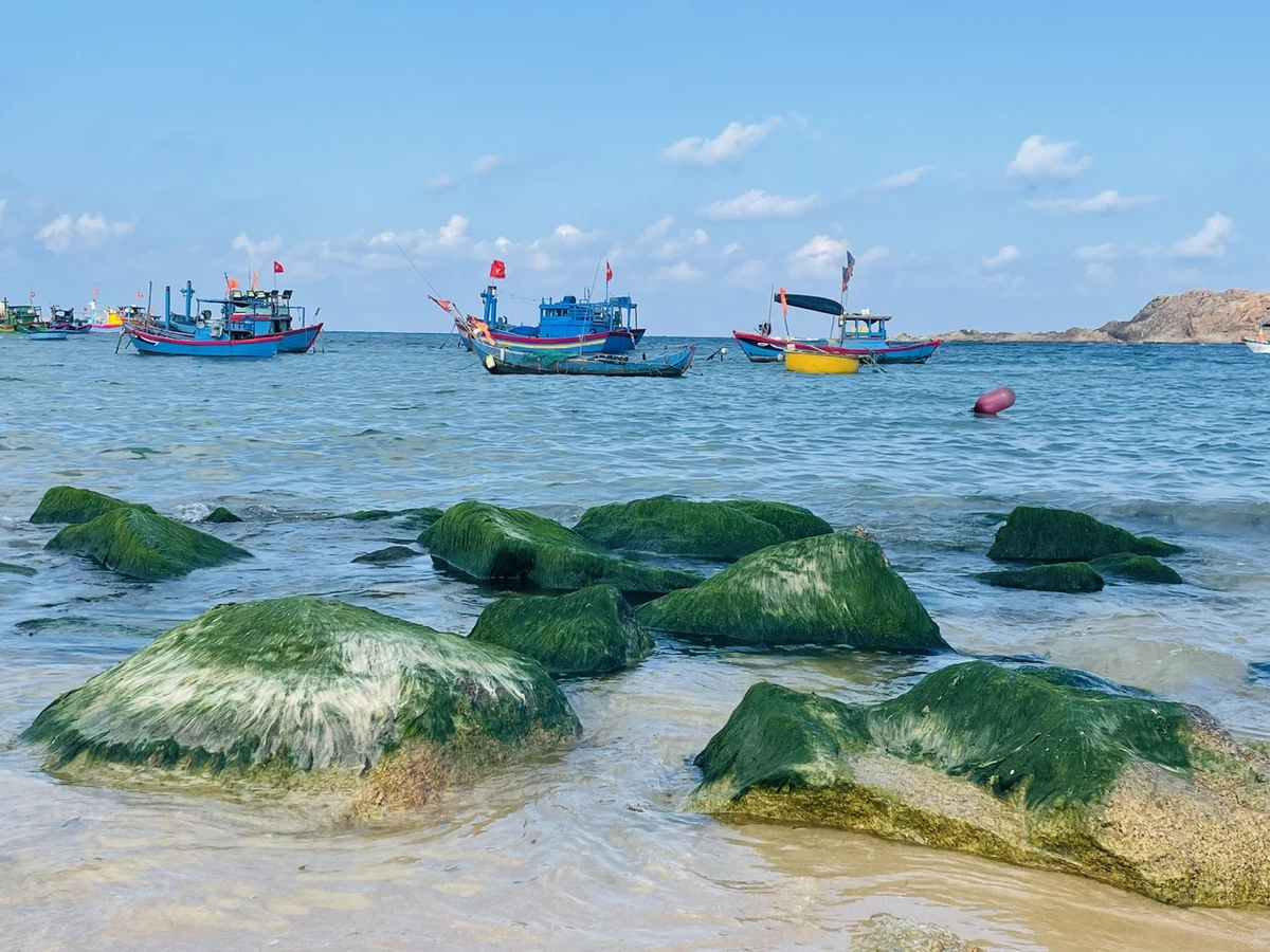 Đây là một trong những hiện tượng thiên nhiên độc đáo, tạo nên khung cảnh vừa huyền ảo vừa thơ mộng.