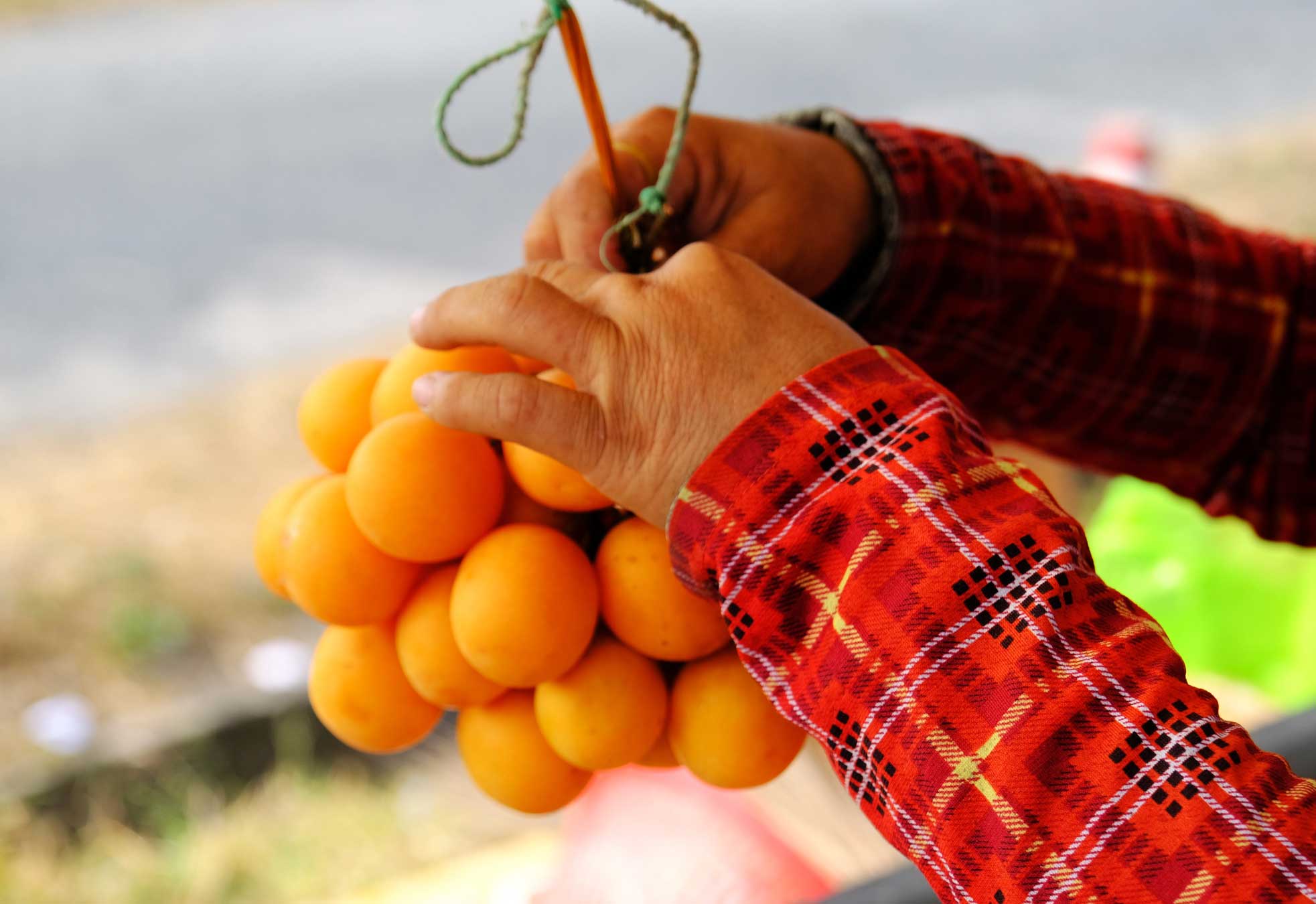  Sự phổ biến của loại quả này khiến thị trường thanh trà trở nên sôi động hơn bao giờ hết.