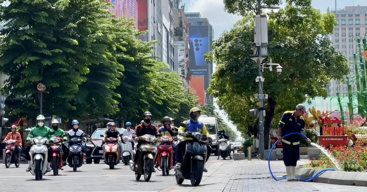 (Ảnh minh họa từ Internet)