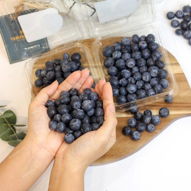 Các tiểu thương đã giảm giá bán việt quất xuống còn vài trăm nghìn đồng/kg.