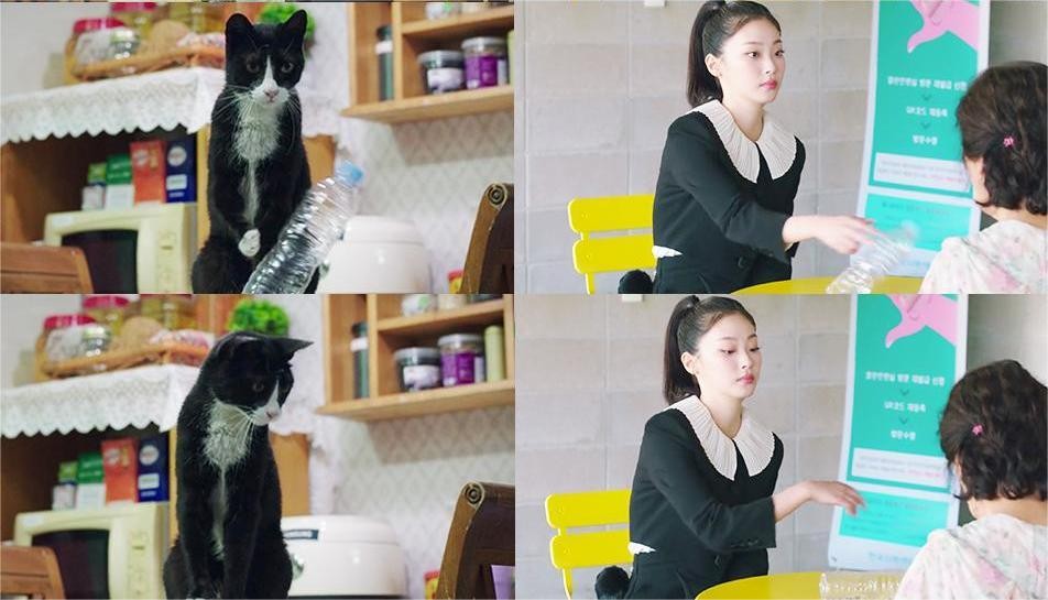 hình ảnh một "cô mèo hóa người" hiện ra: vừa kiêu kỳ, vừa đáng yêu đến nao lòng.