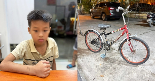 Chuyến đi ngắn nhưng đầy mạo hiểm.