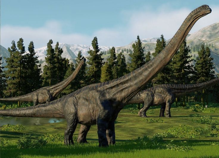 Sự góp mặt của những gương mặt tiềm năng mới.