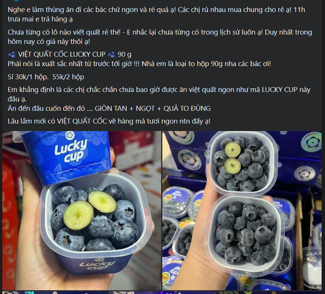 Tại nhiều hội nhóm, 'chợ mạng', việt quất đang được bày bán tràn ngập.