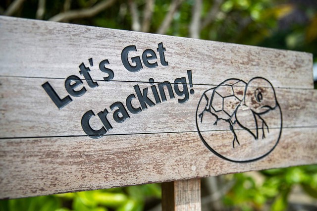 trải nghiệm du lịch trở thành sứ mệnh bảo tồn