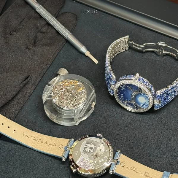 Các chi tiết hình học mạnh mẽ được chạm khắc tinh xảo trên nền bạch kim, đá mã não, san hô và kim cương