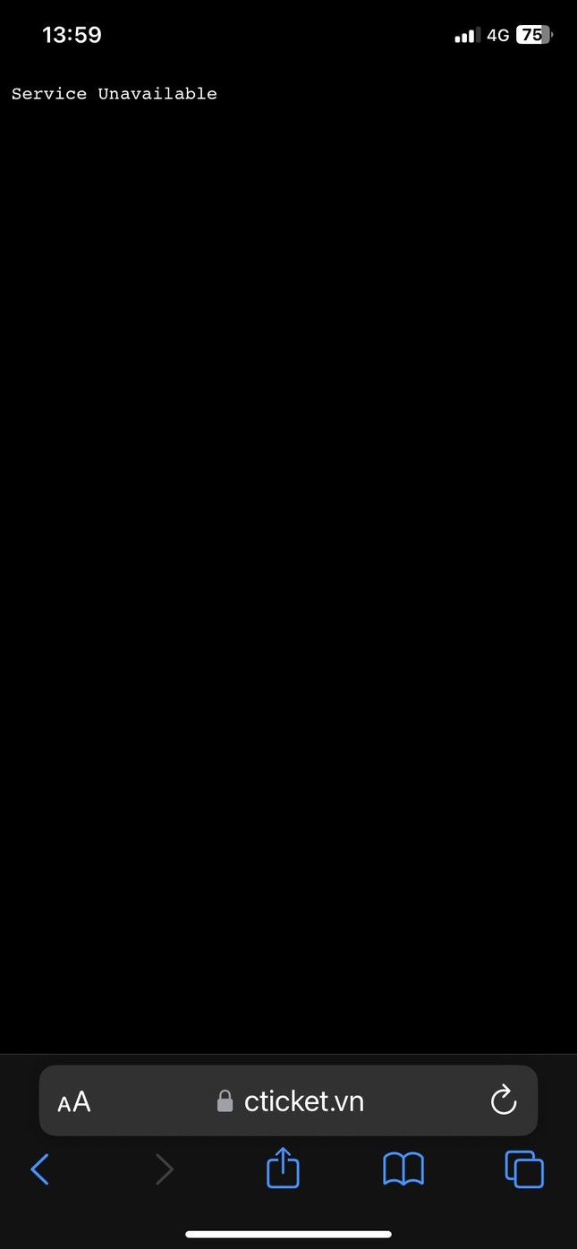 Hàng chục nghìn fan đứng chờ, web bán vé "đứng hình" trước giờ G