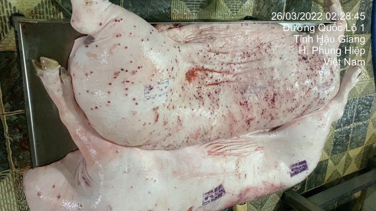 Kiểm tra khẩn sau thông tin gây hoang mang