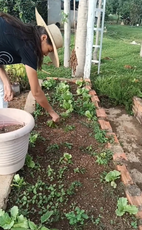 minh chứng cho sức hút của những nội dung không cần kỹ xảo, không chiêu trò, mà chỉ cần sự quan sát tinh tế đời sống và cách thể hiện sáng tạo.