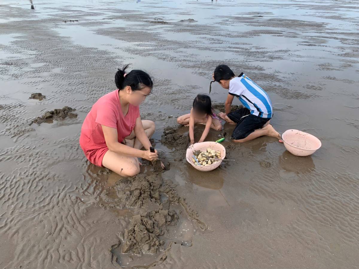  trẻ em hớn hở tay xô chân bùn, cúi nhặt từng con ngao giữa bãi cát mênh mông.