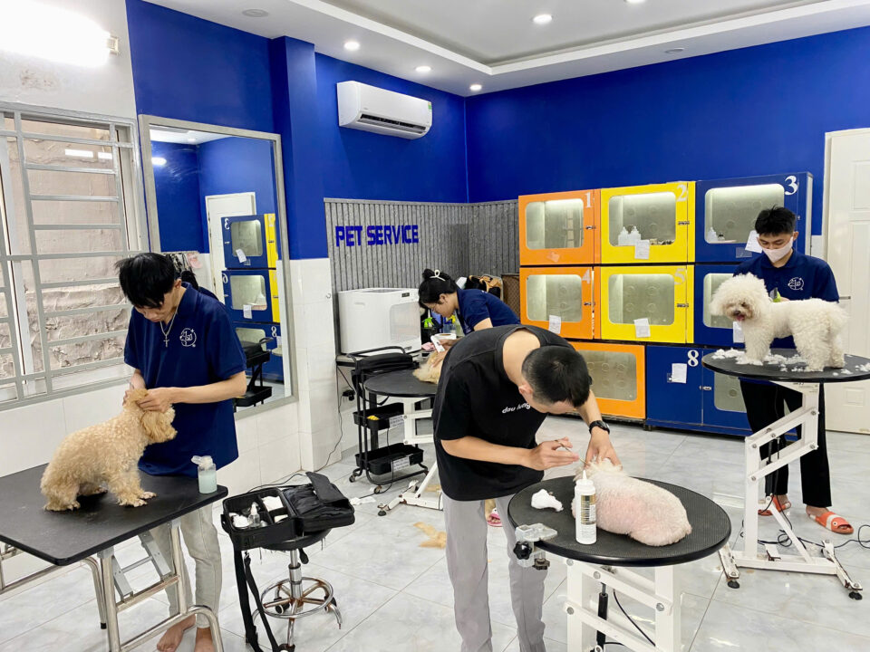 khái niệm "đưa thú cưng đi dạo" trở thành một trải nghiệm toàn diện cho cả chủ lẫn pet.