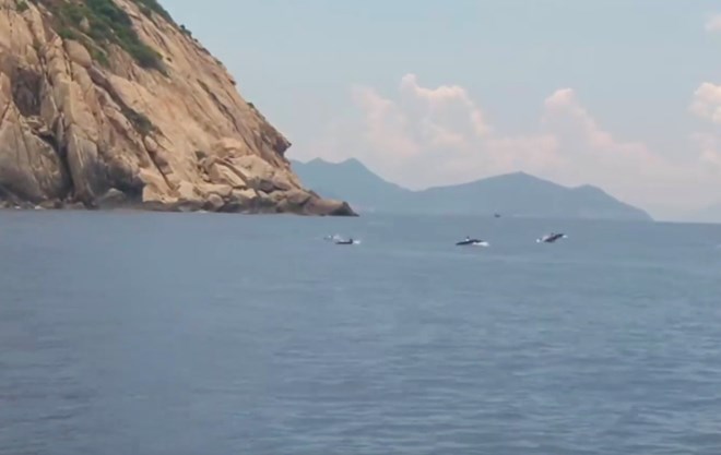 Sự di cư và xuất hiện của cá heo trên các vùng biển cũng là chủ đề được các nhà nghiên cứu quan tâm,