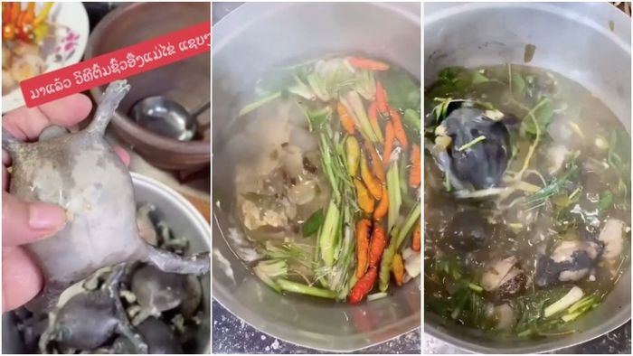 món canh chua ếch òn là biểu tượng của sự dân dã hòa quyện cùng hương vị đặc trưng của vùng đất đầy nắng gió.