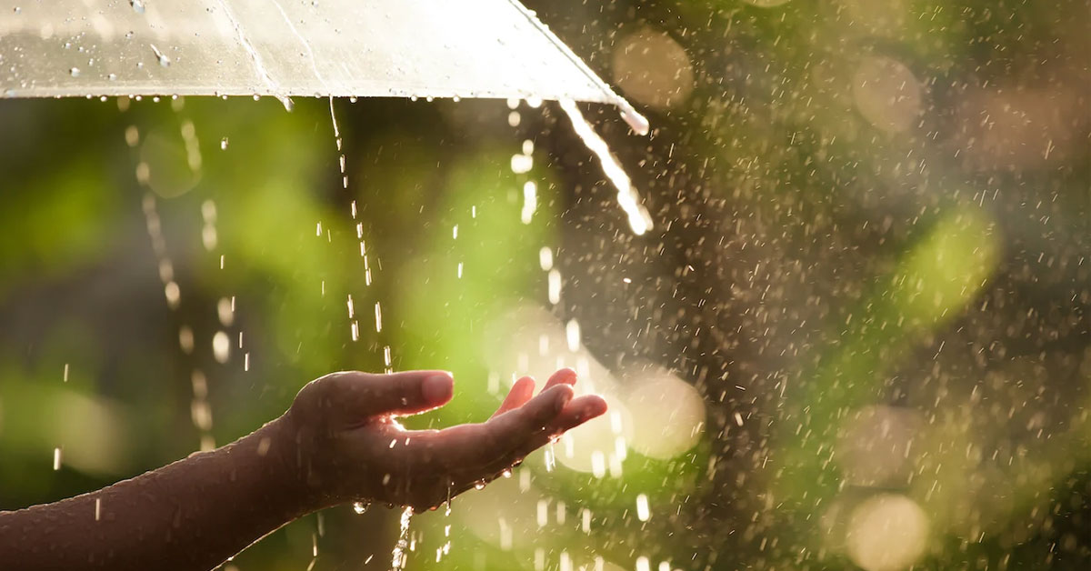  Vậy là mưa đã về rồi…