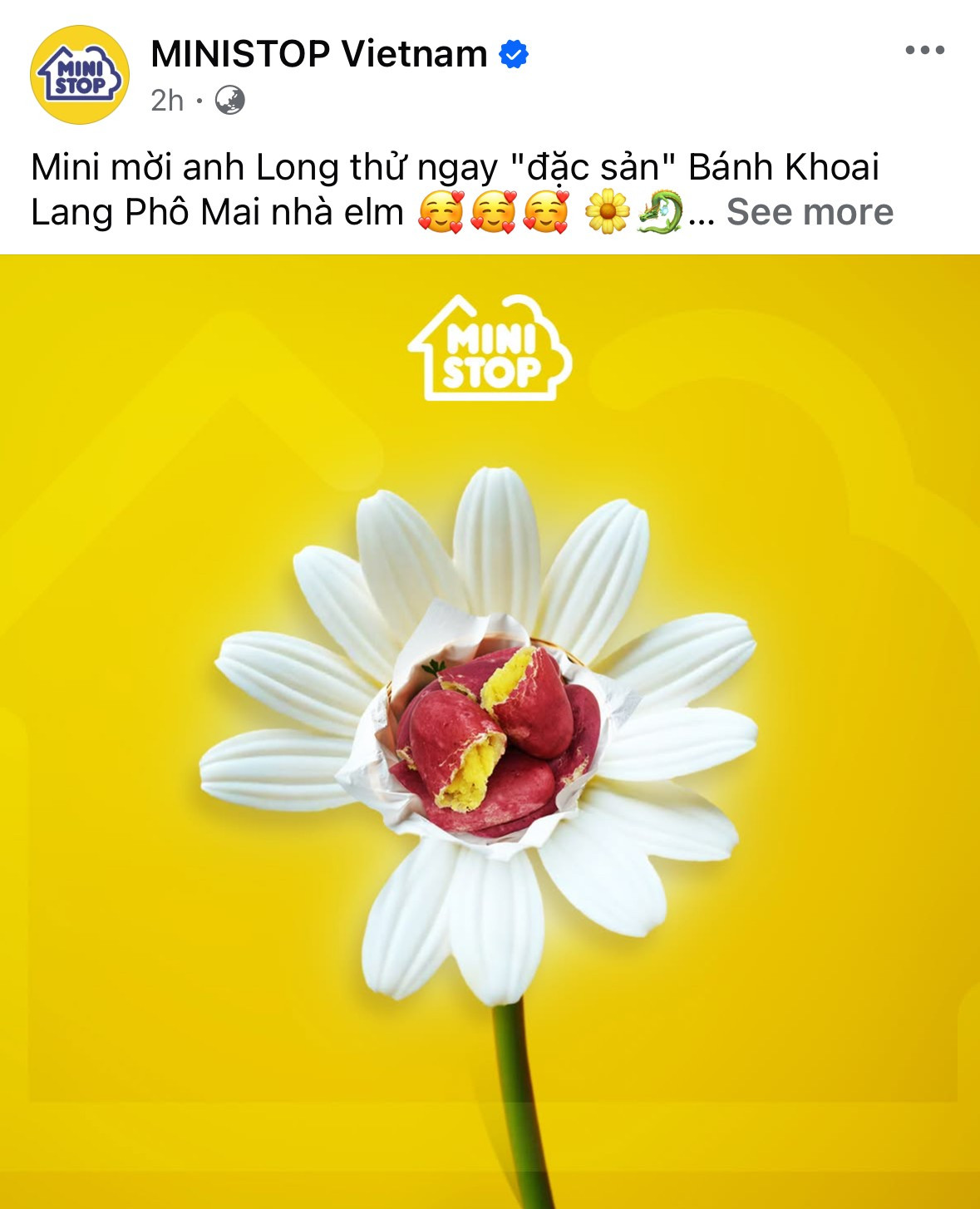 Biểu tượng hoa cúc và cú chạm tinh tế đến văn hóa fandom