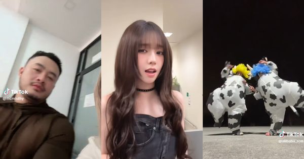 Các tài khoản TikTok và Instagram đã biến câu hát thành “chất liệu” sáng tạo không giới hạn. 