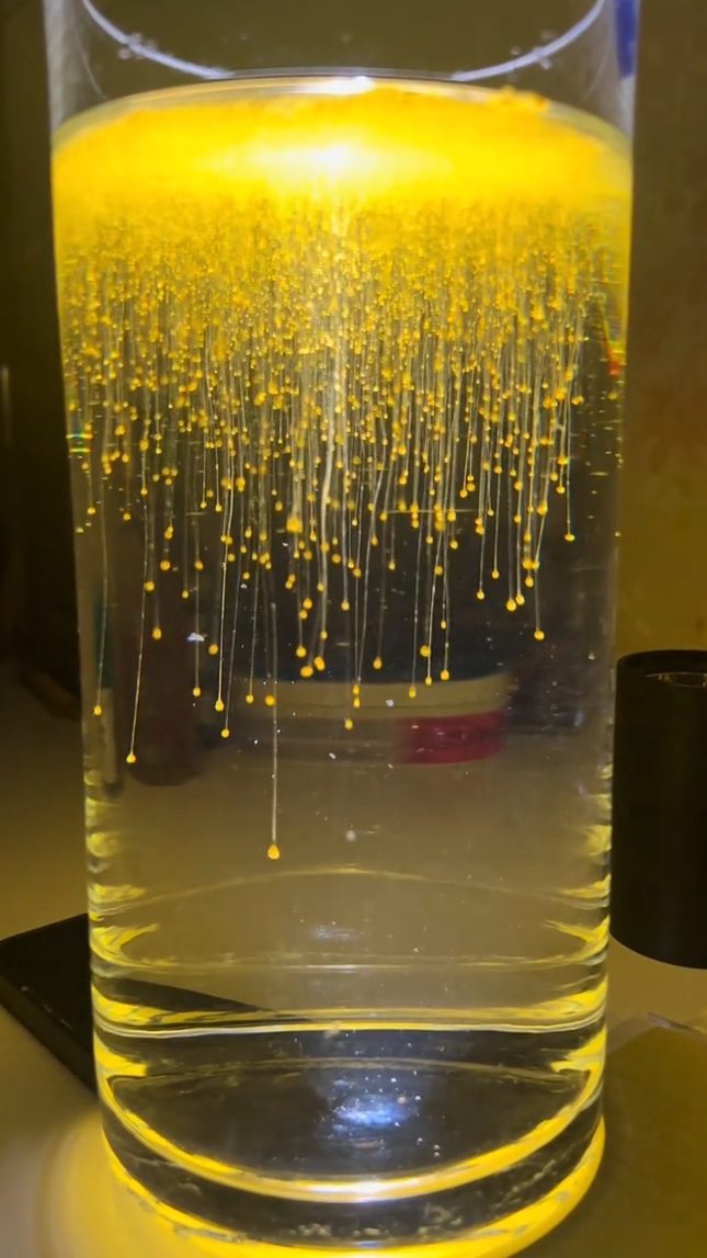 hàng loạt clip ghi lại cảnh bố mẹ chuẩn bị "cơn mưa sao băng" cho con nhỏ nhận được hàng triệu lượt yêu thích.