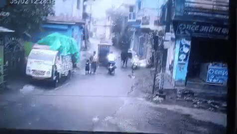 Chú bò khiến chiếc xe máy trượt nhẹ về phía trước, y như đang "lái xe".