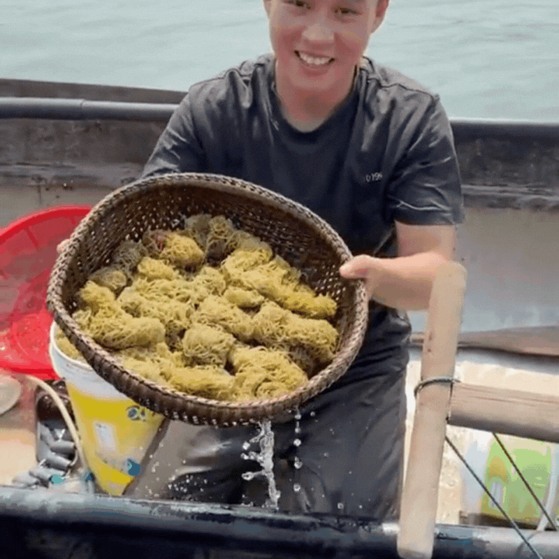 Món ngon độc đáo chỉ có ở Đà Nẵng.