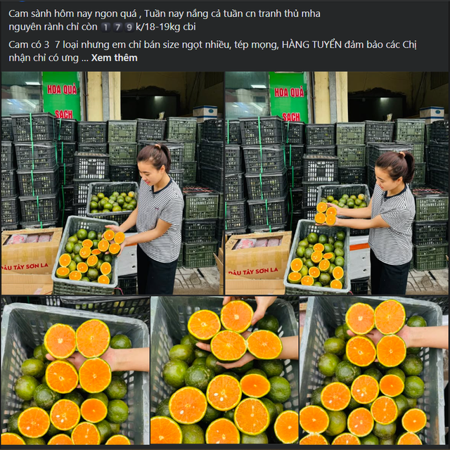  giá cam tại chợ dao động từ 10.000 – 30.000 đồng/kg, trở thành lựa chọn “ngon – bổ – rẻ” của nhiều người tiêu dùng.