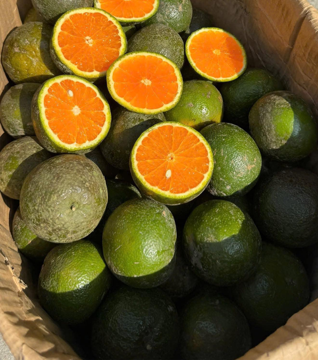 Hàm lượng vitamin C dồi dào