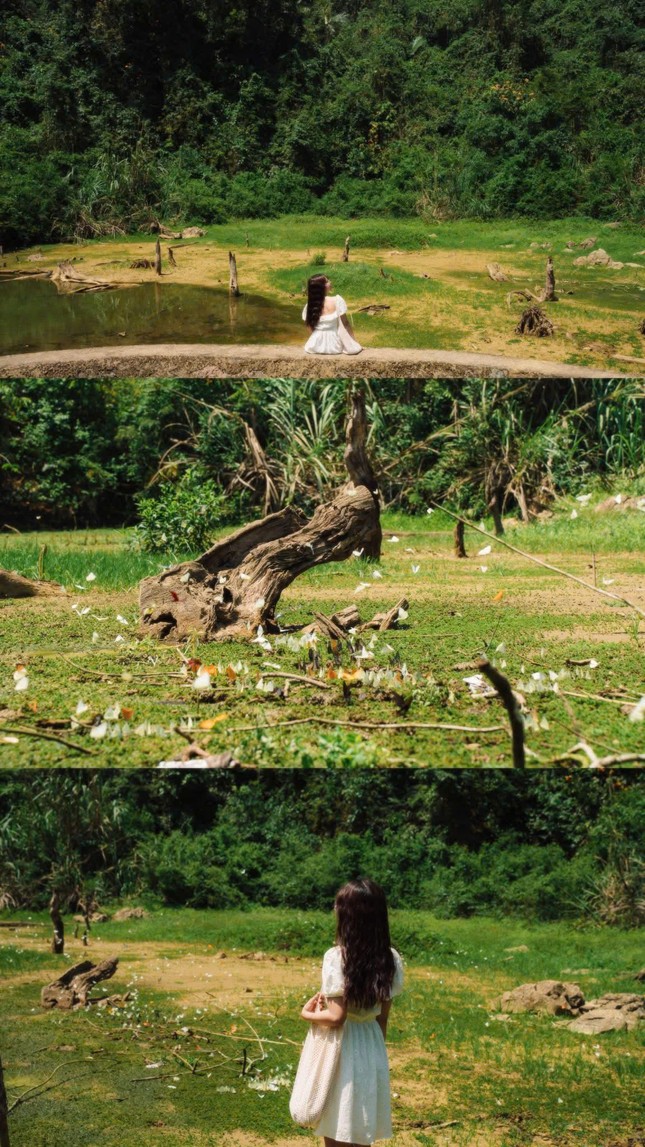 Cúc Phương còn thu hút du khách nhờ hệ thống dịch vụ lưu trú thân thiện với môi trường