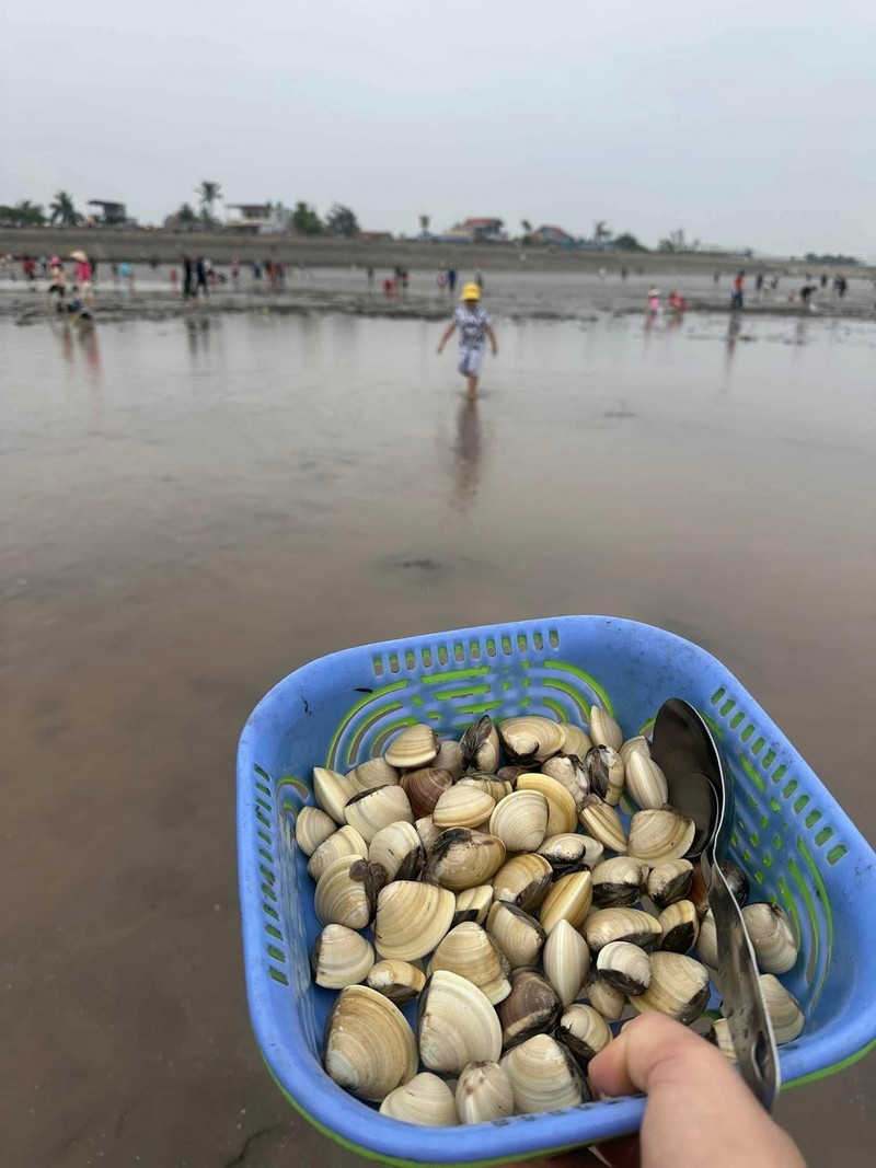 Đây không chỉ là hoạt động vui chơi đơn thuần, mà còn là dịp để trẻ nhỏ tiếp xúc với thiên nhiên – một dạng “học mà chơi”