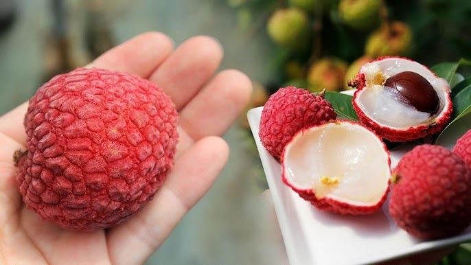 vải Tây Nguyên vẫn được ưa chuộng tại TP HCM, mặc dù giá cao vượt xa so với các loại trái cây khác.